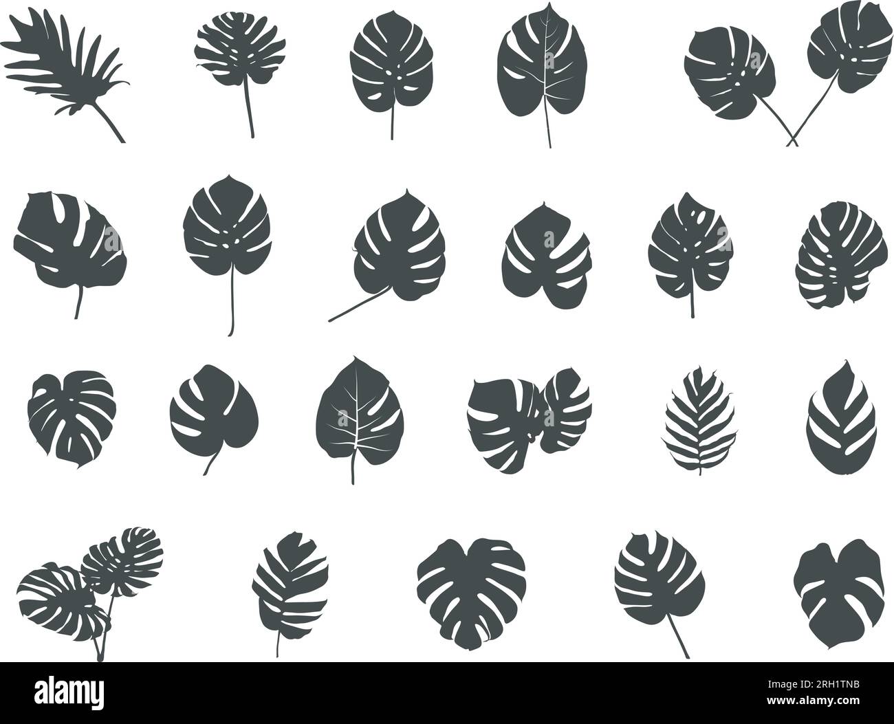 Silhouette foglie tropicali, vettore foglie palme tropicali, silhouette foglie, icona foglia, vettore foglie tropicali, SVG foglie tropicali Illustrazione Vettoriale