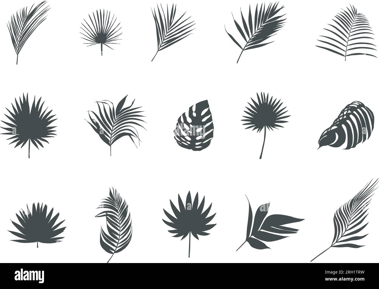 Sagome foglie di palma, vettore foglie di palma tropicali, icona foglia, silhouette foglia, vettore foglie di palma, SVG foglie di palma, lascia silhouette Illustrazione Vettoriale
