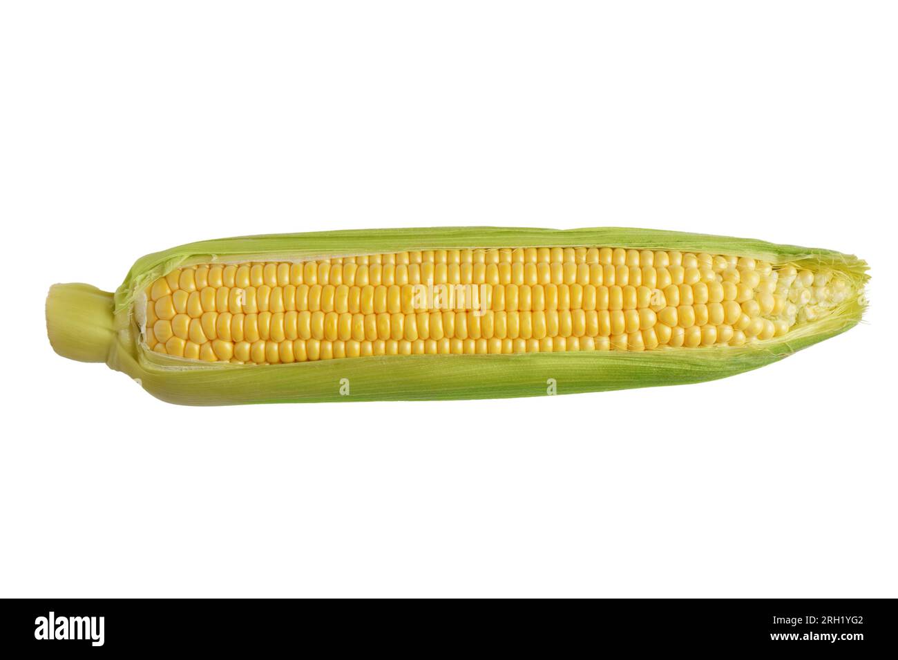 Orecchie di mais giallo fresco con foglie verdi isolate su sfondo bianco. Ingrediente alimentare, elemento di design, fattoria, raccolto, agricoltura. Foto Stock