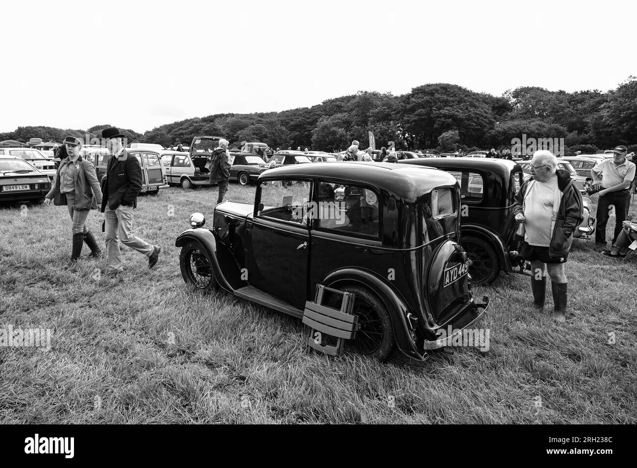 Carnhell Green Vintage Rally, 12 agosto 2023 Foto Stock