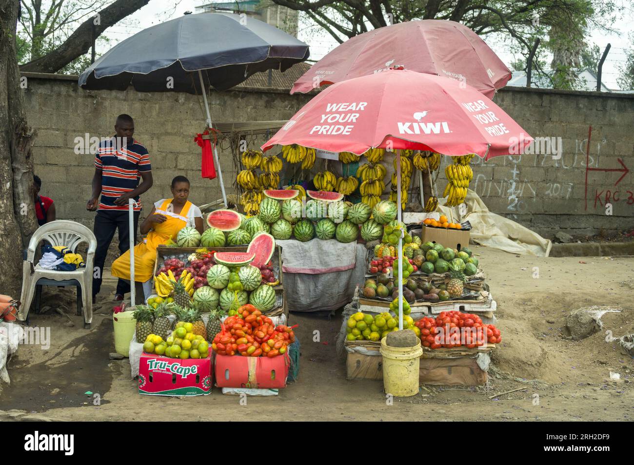 Una donna africana si siede da lei stallo con frutta e verdura in vendita dal ciglio della strada, Kenya, Africa orientale Foto Stock