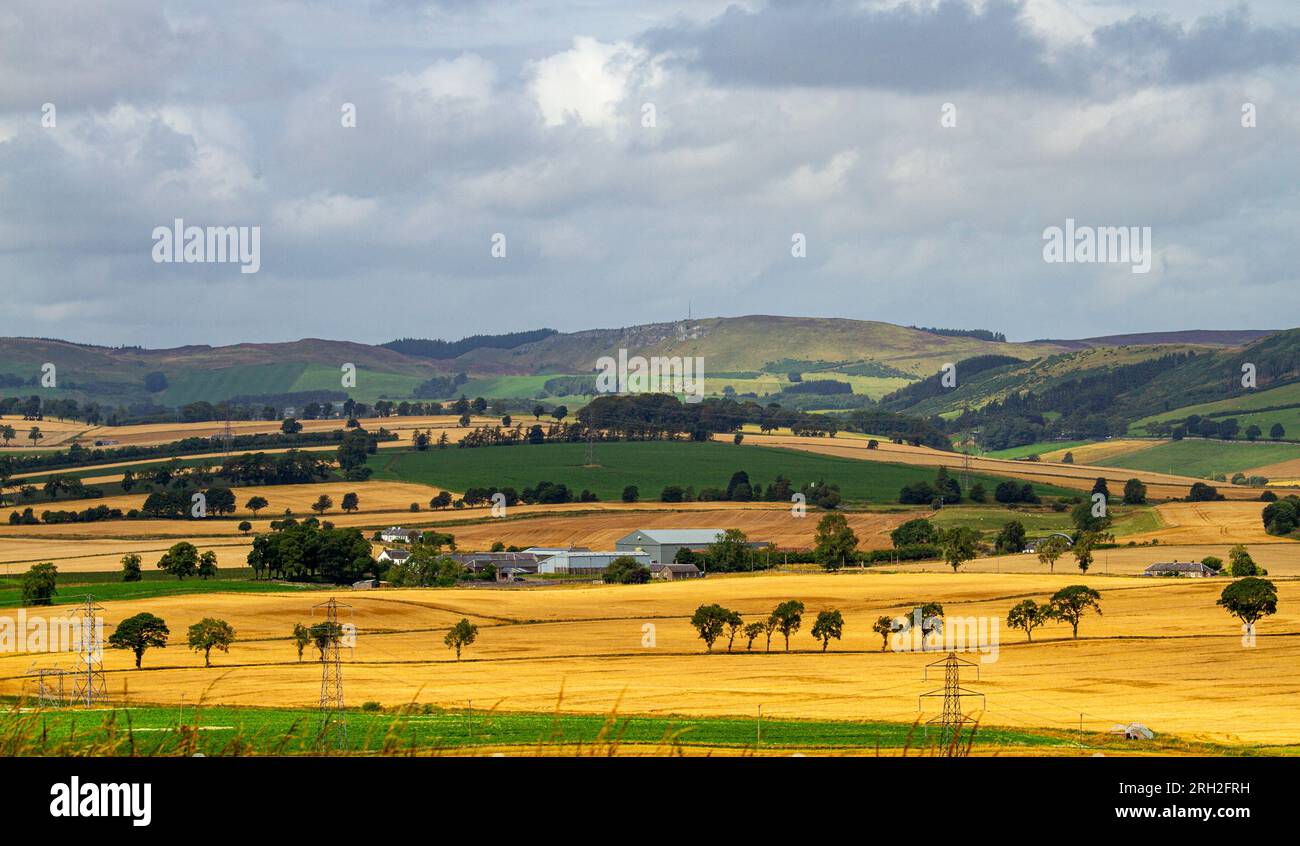 Dundee, Tayside, Scozia, Regno Unito. 13 agosto 2023. Tempo nel Regno Unito: Il tempo nel nord-est della Scozia è nuvoloso con intervalli di sole, temperature che raggiungono i 20°C. In agosto, una pittoresca vista panoramica della Strathmore Valley, Sidlaw Hills e dei terreni agricoli circostanti nella rurale Dundee. Crediti: Dundee Photographics/Alamy Live News Foto Stock