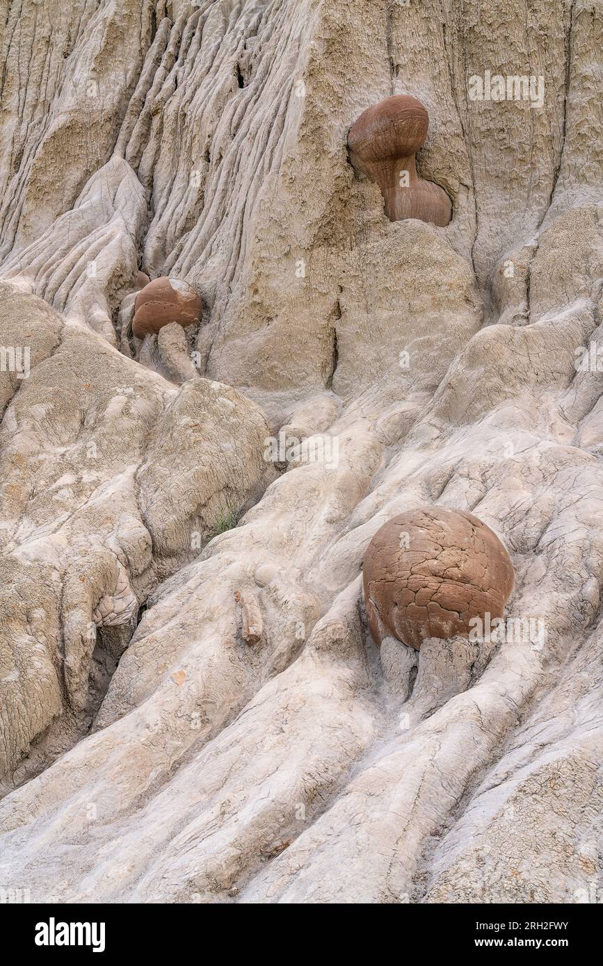 Affascinanti formazioni conosciute come concrezioni di palla di cannone nella North Unit del Theodore Roosevelt National Park Foto Stock