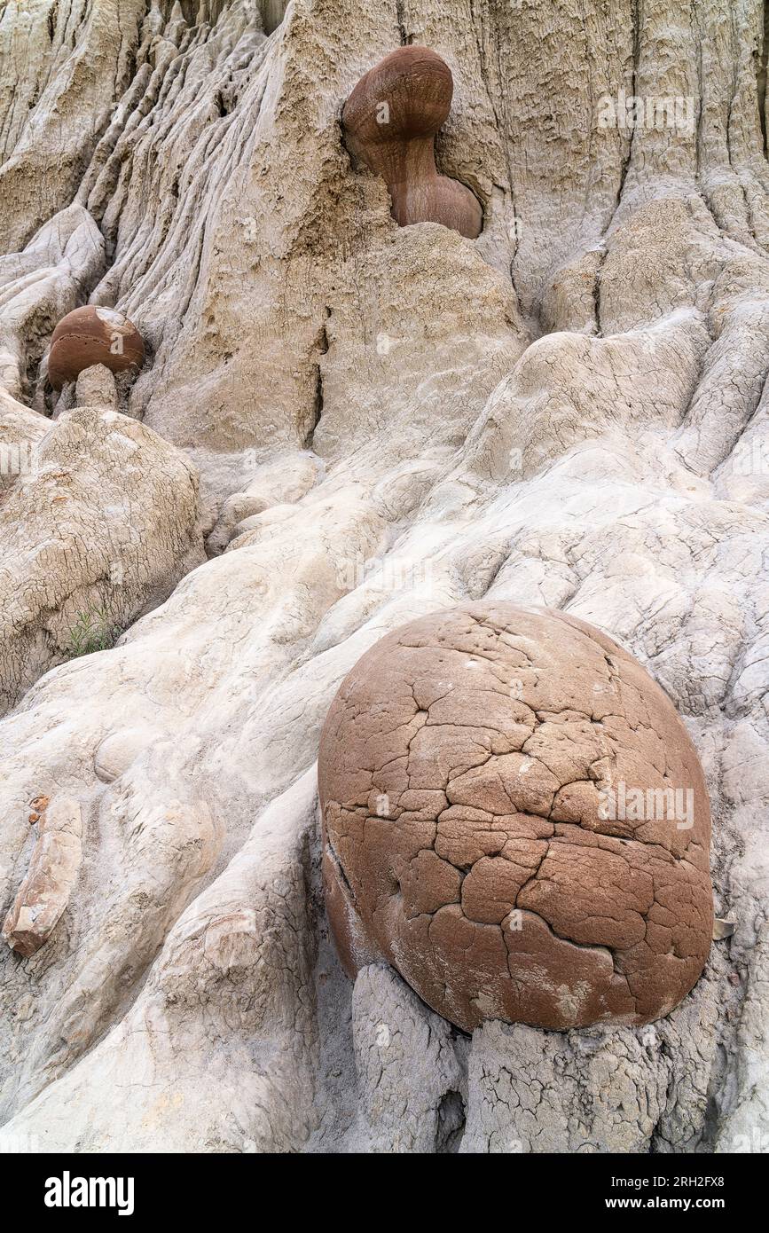 Affascinanti formazioni conosciute come concrezioni di palla di cannone nella North Unit del Theodore Roosevelt National Park Foto Stock