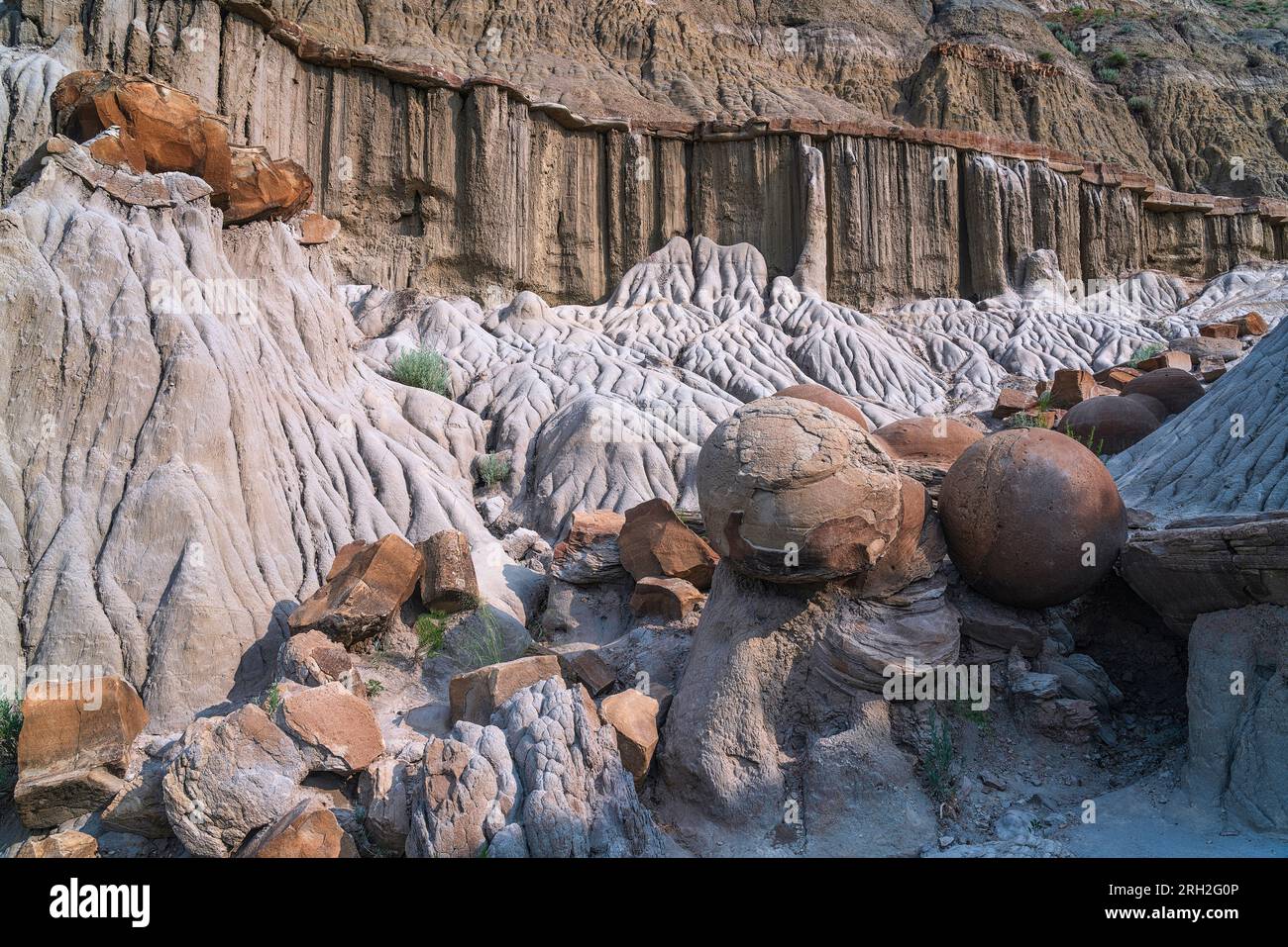 Affascinanti formazioni conosciute come concrezioni di palla di cannone nella North Unit del Theodore Roosevelt National Park Foto Stock