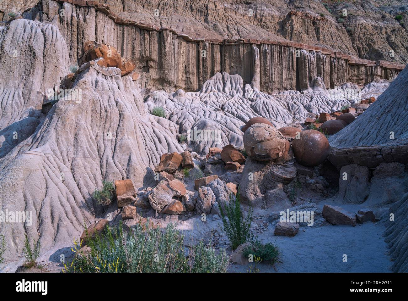 Affascinanti formazioni conosciute come concrezioni di palla di cannone nella North Unit del Theodore Roosevelt National Park Foto Stock