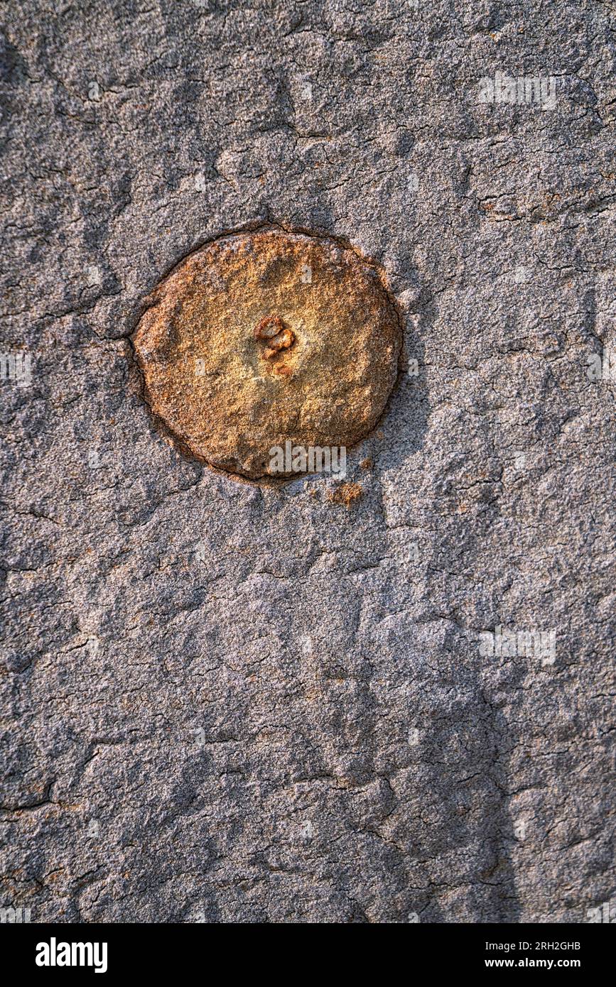 Piccoli depositi noti come calcestruzzo a palla di cannone nel Theodore Roosevelt National Park fuori Medora, North Dakota Foto Stock
