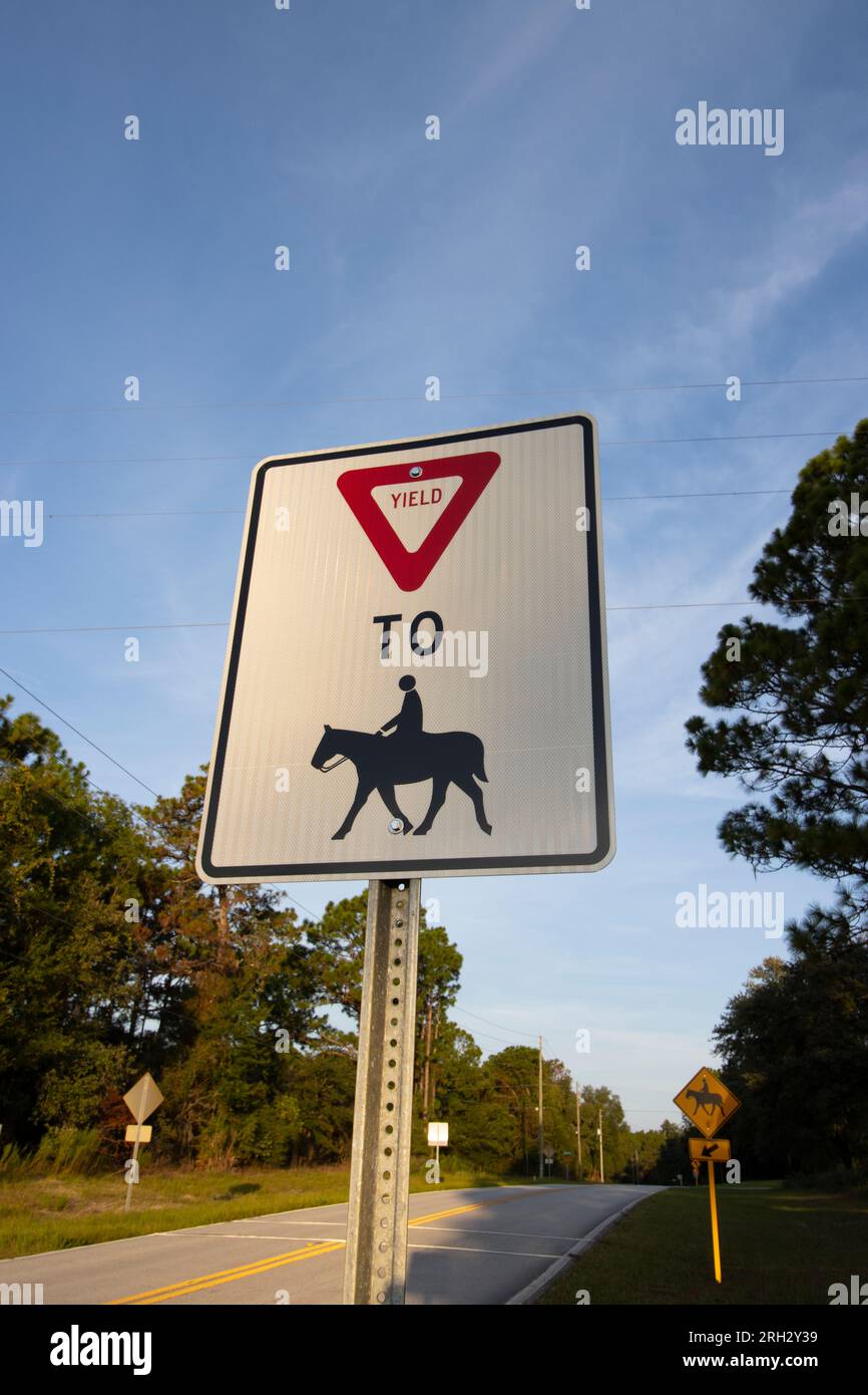 Cartello segnaletico per l'attraversamento dei cavalli sul lato di una strada. Foto Stock