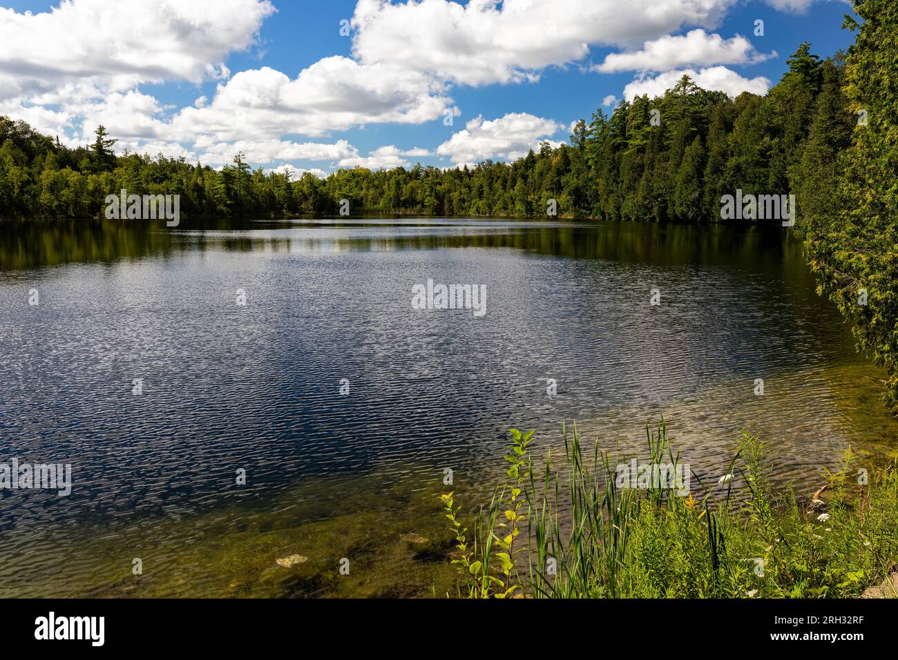 Crawford Lake Conservation area, Milton, Halton, Ontario Foto Stock