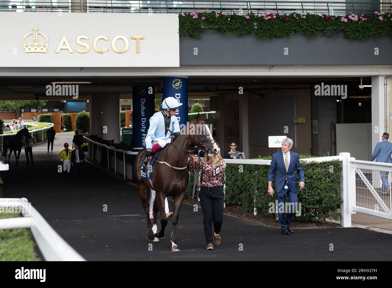 Ascot, Berkshire, Regno Unito. 12 agosto 2023. Horse Dream Composer, guidato dal fantino Frankie Dettori, si dirige verso l'autodromo per gareggiare nel Dubai Duty Free Shergar Cup Dash all'ippodromo di Ascot. Credito: Maureen McLean/Alamy Live News Foto Stock