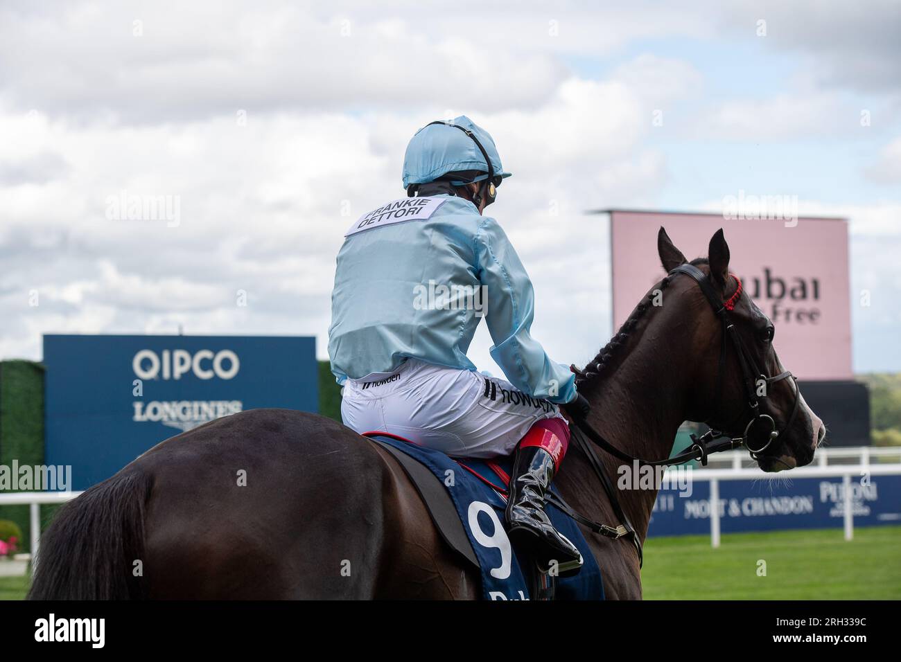 Ascot, Berkshire, Regno Unito. 12 agosto 2023. Horse Dream Composer, guidato dal fantino Frankie Dettori, si dirige verso l'autodromo per gareggiare nel Dubai Duty Free Shergar Cup Dash all'ippodromo di Ascot. Credito: Maureen McLean/Alamy Live News Foto Stock