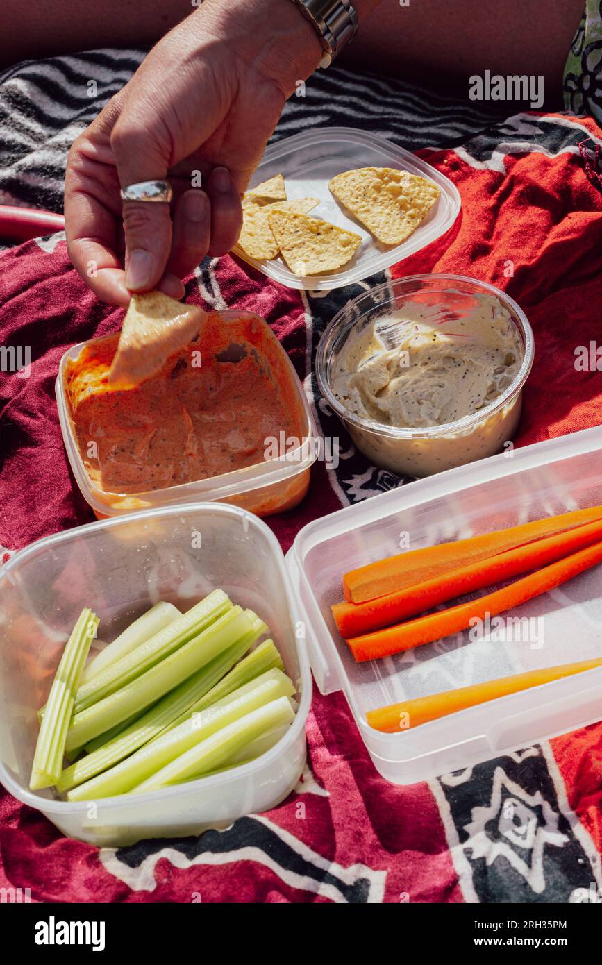 Cibo da picnic su una coperta in contenitori di plastica a Vancouver, Canada Foto Stock