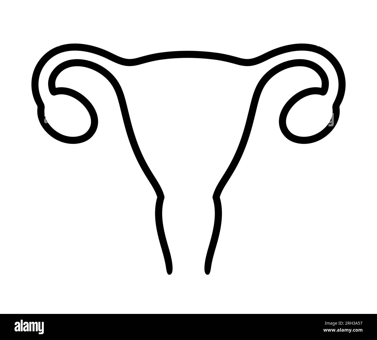 Icona della linea uterina umana. Semplice disegno in bianco e nero della silhouette dell'organo del sistema riproduttivo femminile. Illustrazione vettoriale. Illustrazione Vettoriale