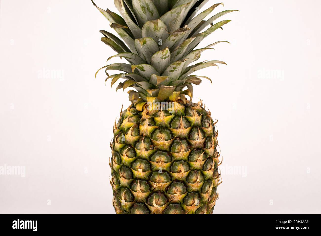 Chiudere le fronde dell'ananas e sbucciare Foto Stock