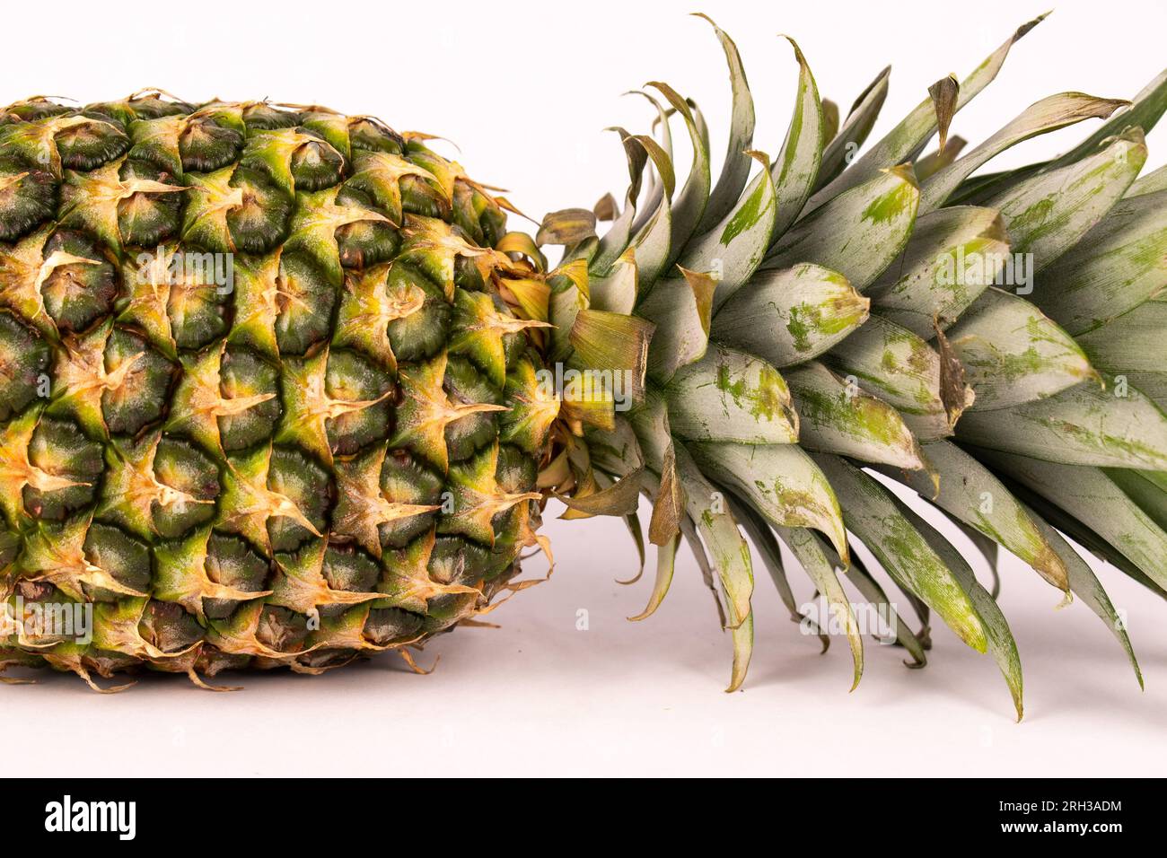 Ananas fresco intero non tagliato su un lato Foto Stock