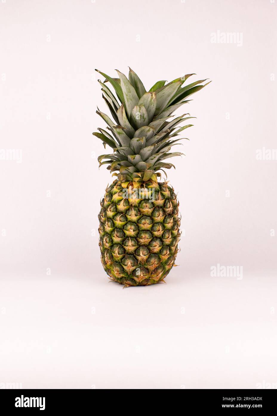 Gustosi fondi bianchi di ananas maturi non tagliati Foto Stock