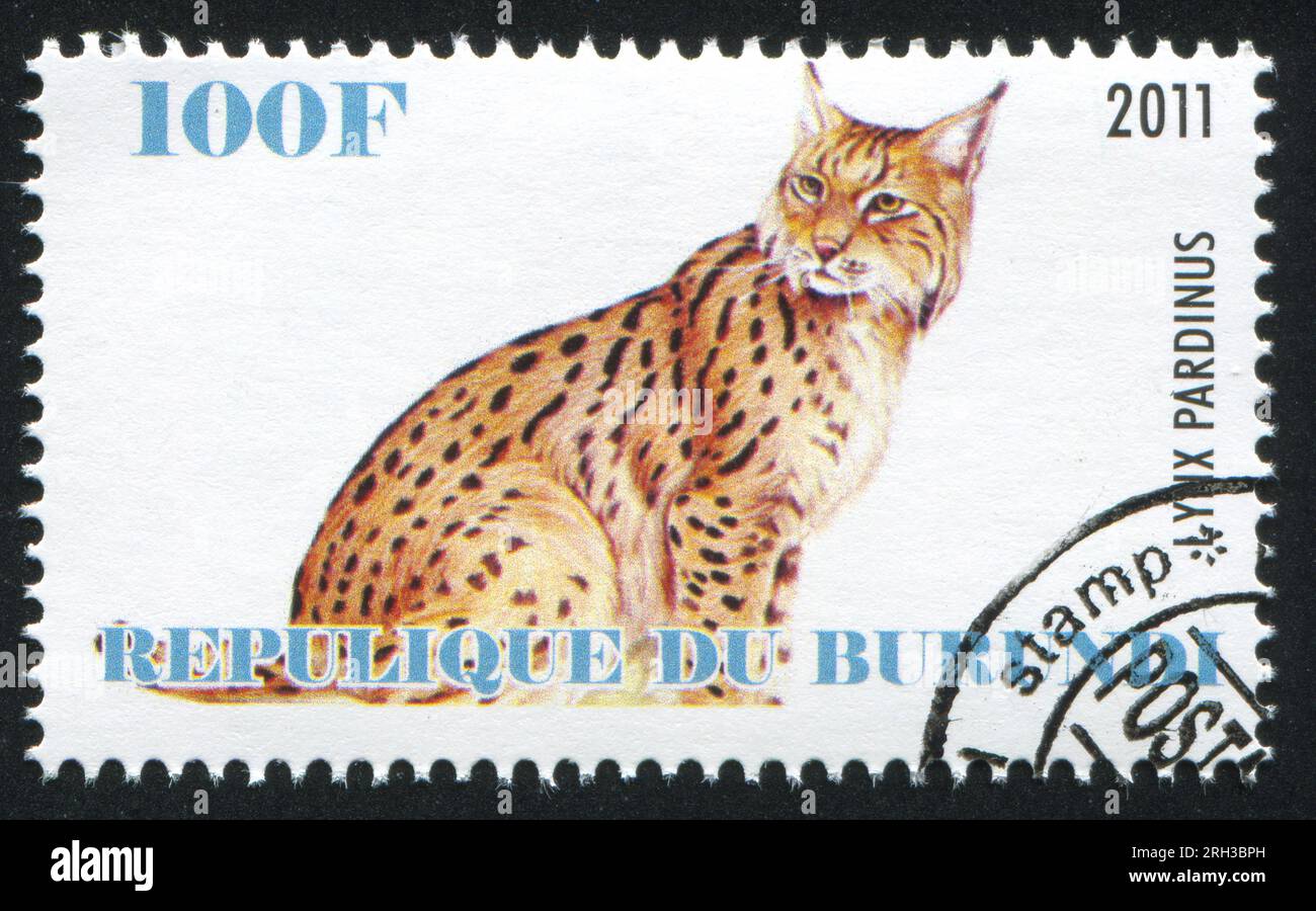 BURUNDI - CIRCA 2011: Francobollo stampato dal Burundi, mostra Lynx, circa 2011 Foto Stock