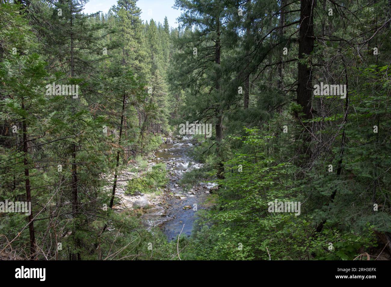 Il bivio sud del fiume Stanislaus scorre attraverso la foresta di conifere nelle montagne della Sierra Nevada in California. Foto Stock