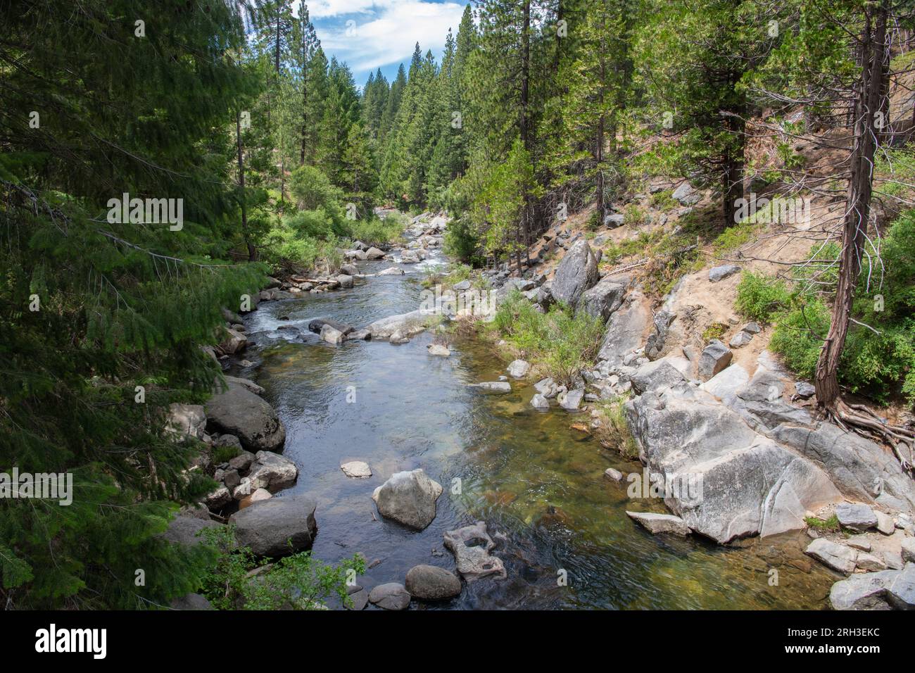 Il bivio sud del fiume Stanislaus scorre attraverso la foresta di conifere nelle montagne della Sierra Nevada in California. Foto Stock