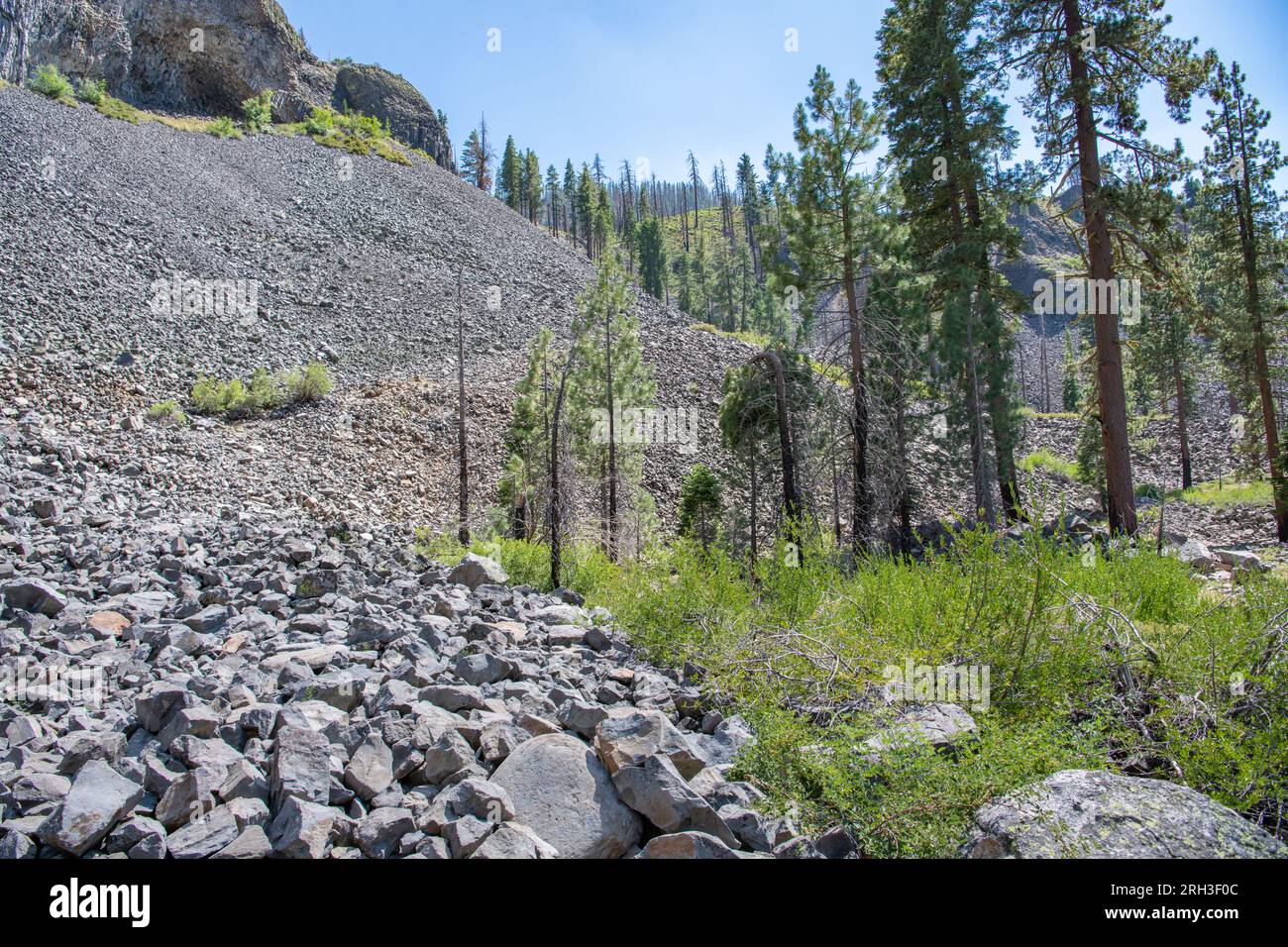 Il paesaggio intorno alle colonne della formazione rocciosa dei Giganti nel passo Sonora, nelle montagne della Sierra Nevada della California, Stati Uniti. Foto Stock