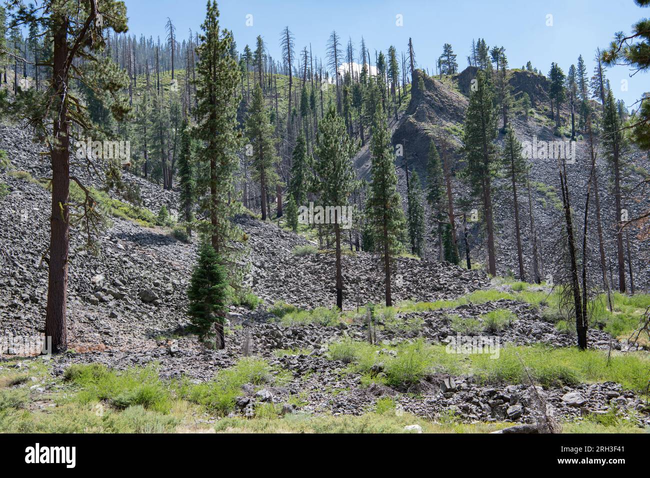 Il paesaggio intorno alle colonne della formazione rocciosa dei Giganti nel passo Sonora, nelle montagne della Sierra Nevada della California, Stati Uniti. Foto Stock
