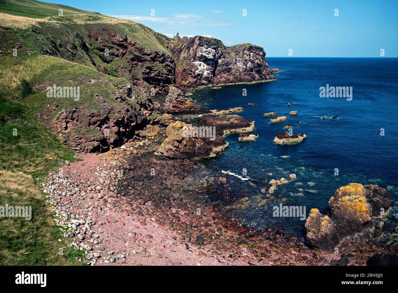Ammira la Starney Bay fino al promontorio chiamato White Heugh a St Abbs Head, National Nature Reserve, Berwickshire, Scozia, Regno Unito. Foto Stock