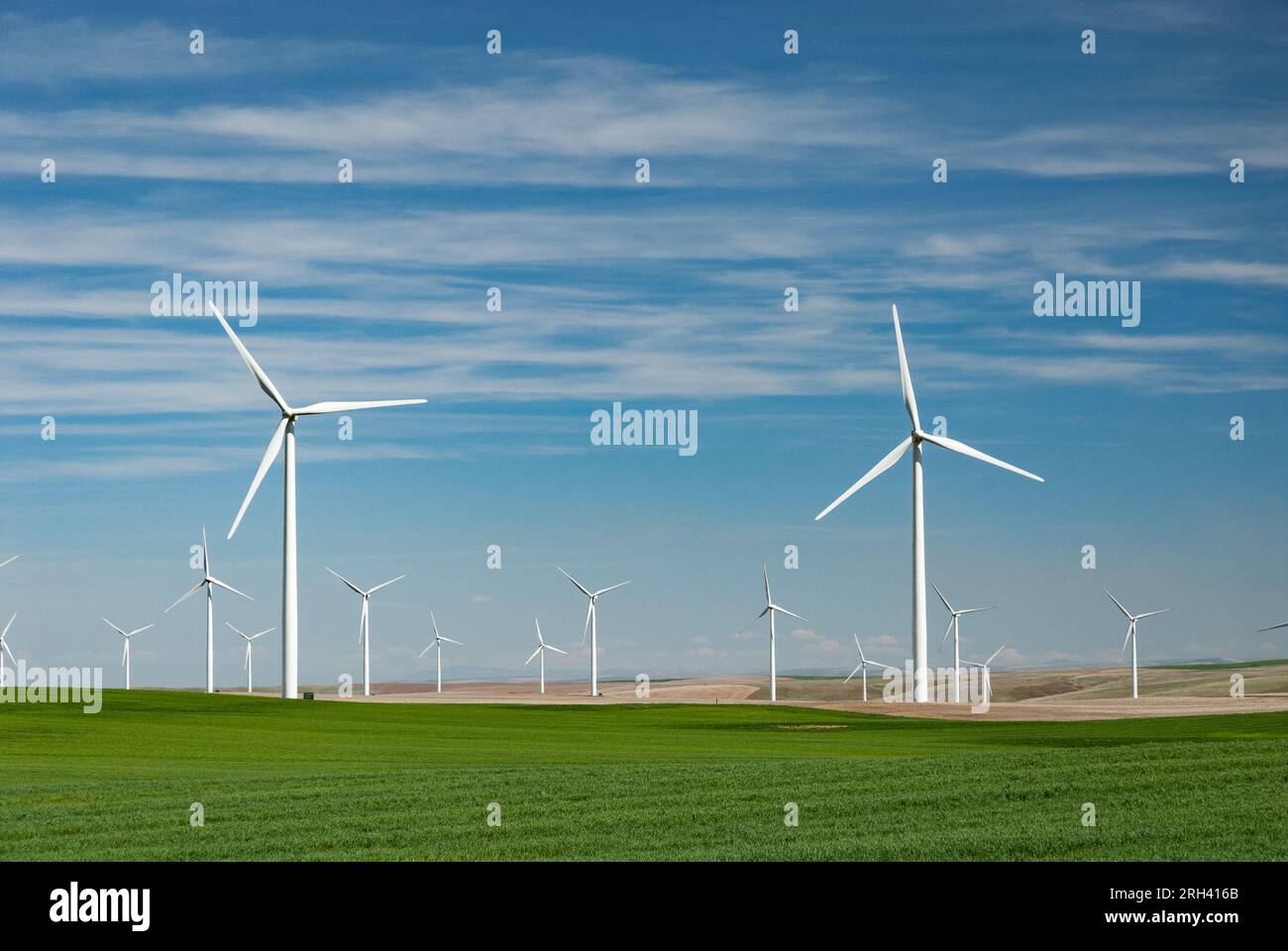 Turbine eoliche vicino a Dalles, Oregon, Stati Uniti. Foto Stock