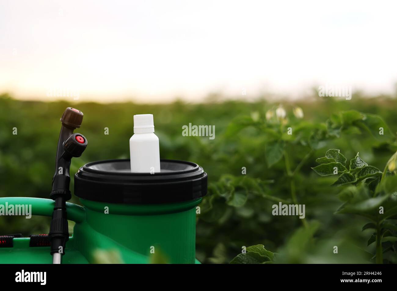 Piccola bottiglia bianca di pesticida, erbicida per proteggere le piante da malattie e parassiti con supporti mock up su spruzzatore contenitore su ga verde naturale Foto Stock