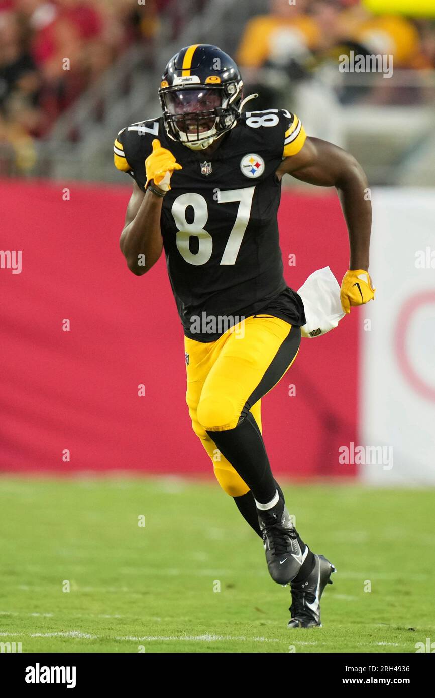 Pittsburgh Steelers tight end Rodney Williams (87) covers a kick during an NFL preseason football game against the Tampa Bay Buccaneers, Friday, Aug. 11, 2023, in Tampa, Fla. (AP Photo/Peter Joneleit) Foto Stock