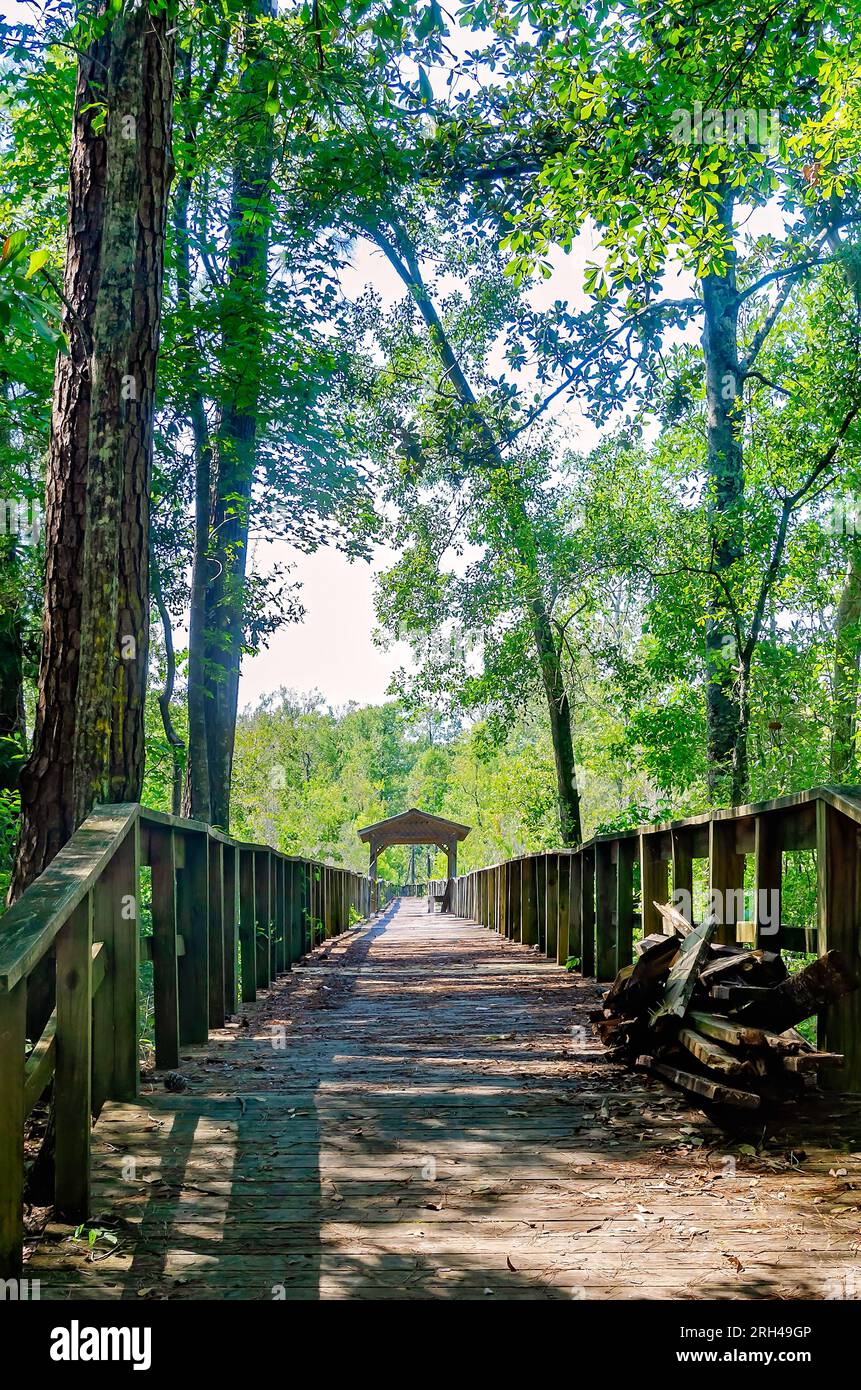 Una passerella di legno attraversa il Chickasaw Creek a Brooks Park Landing, 12 agosto 2023, a Chickasaw, Alabama. Foto Stock