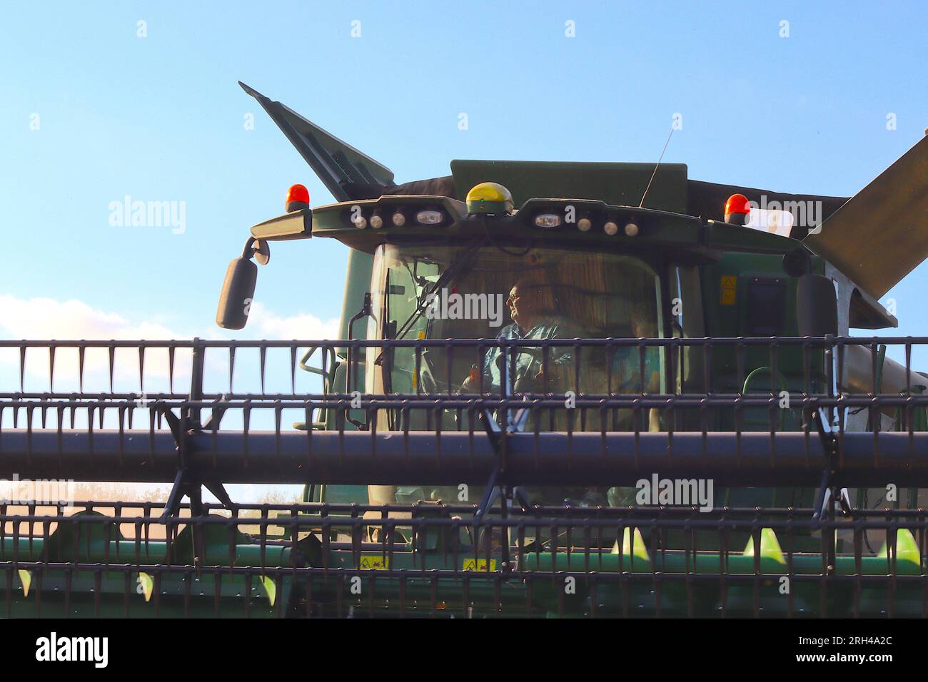 Un lavoratore agricolo gestisce una mietitrebbia in un campo di grano del Buckinghamshire, approfittando della raccolta durante una breve finestra di bel tempo. Foto Stock