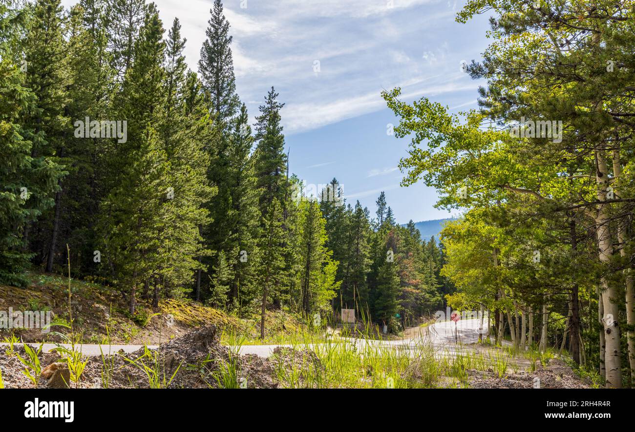 Panorama montano sul tramonto nebbioso lungo la Squa Pass Road vicino all'Echo Lake Park, Colorado Foto Stock