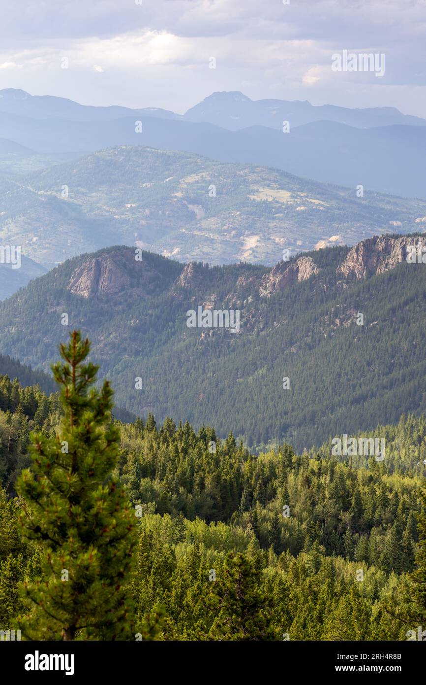 Panorama montano sul tramonto nebbioso lungo la Squa Pass Road vicino all'Echo Lake Park, Colorado Foto Stock