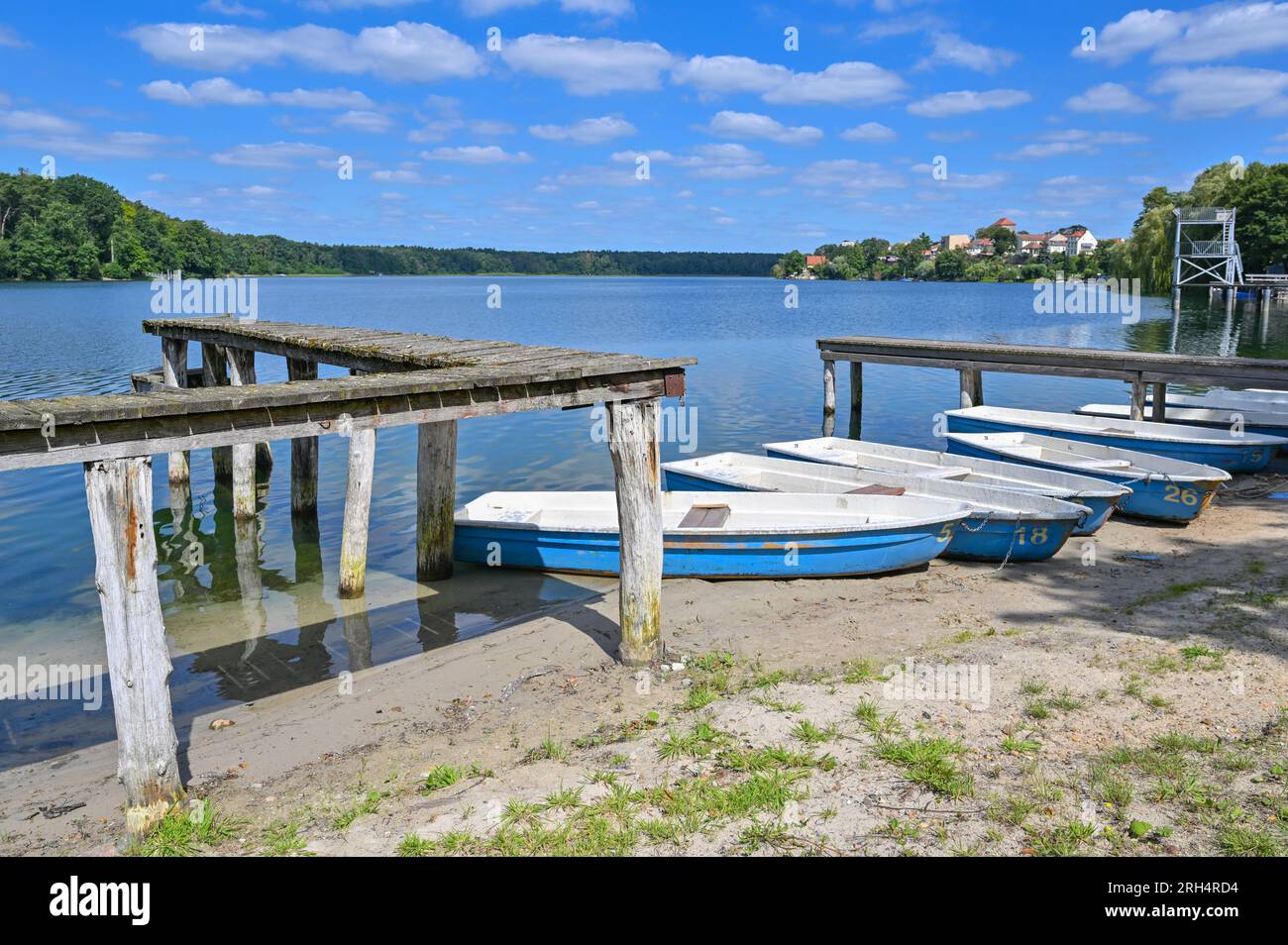 Strausberg, Germania. 11 agosto 2023. C'è un molo a quasi due metri dalle barche sulla riva del lago Straussee. Il lago ha perso metà della sua acqua per circa dieci anni. Dal 2014, il livello dell'acqua è calato di circa 20 centimetri ogni anno. La causa della perdita d'acqua è sconosciuta. E' stata commissionata una perizia in materia. Credito: Patrick Pleul/dpa/Alamy Live News Foto Stock