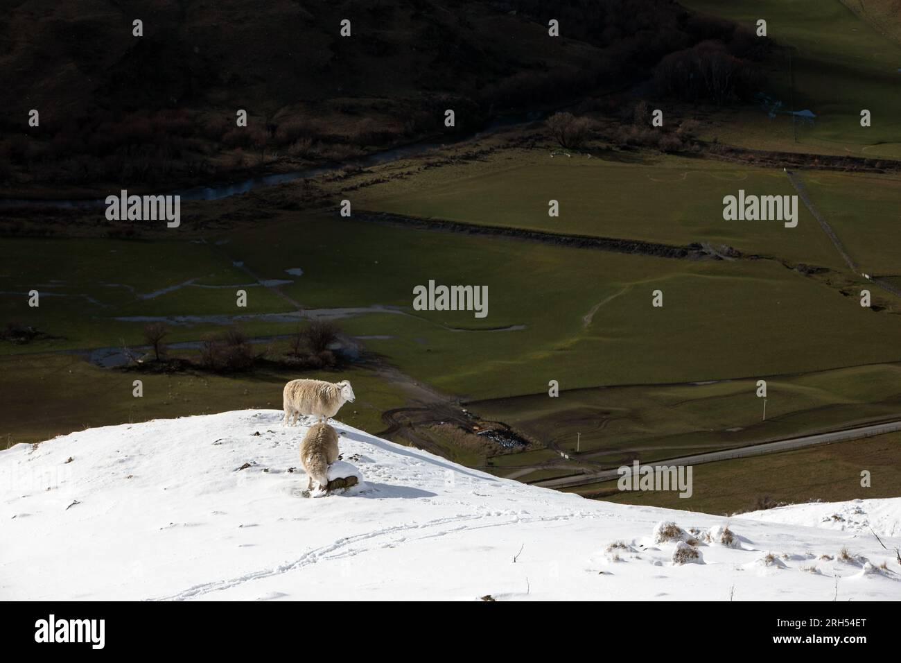 Inverno a Central Otago, nuova Zelanda Foto Stock