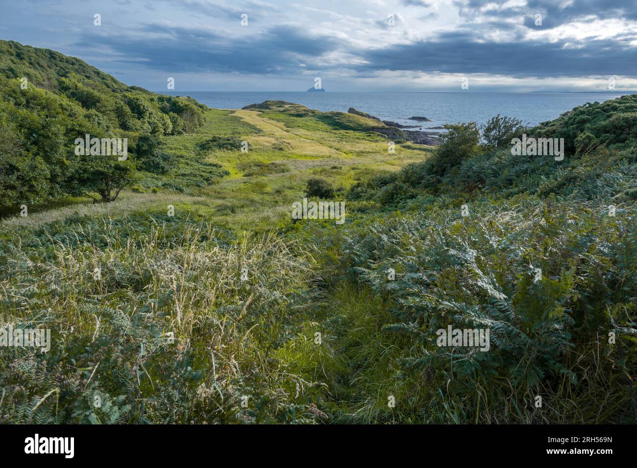 Ammira la costa a Kennedy Park, Ayrshire, Scozia Foto Stock