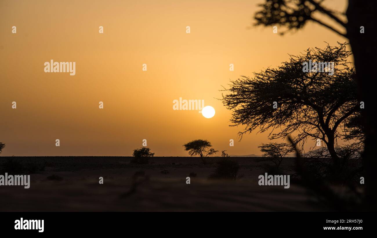 Tramonto nel deserto Foto Stock