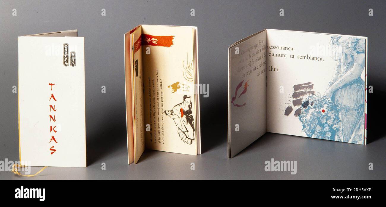 Ricard Giralt Miracle / Libros de artista, siglo XX. Colección privada. Foto Stock