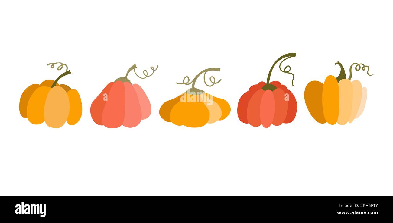 Set di zucca in stile cartone animato. Verdure di varie forme e colori. Ringraziamento ed elementi di Halloween. Illustrazione Vettoriale