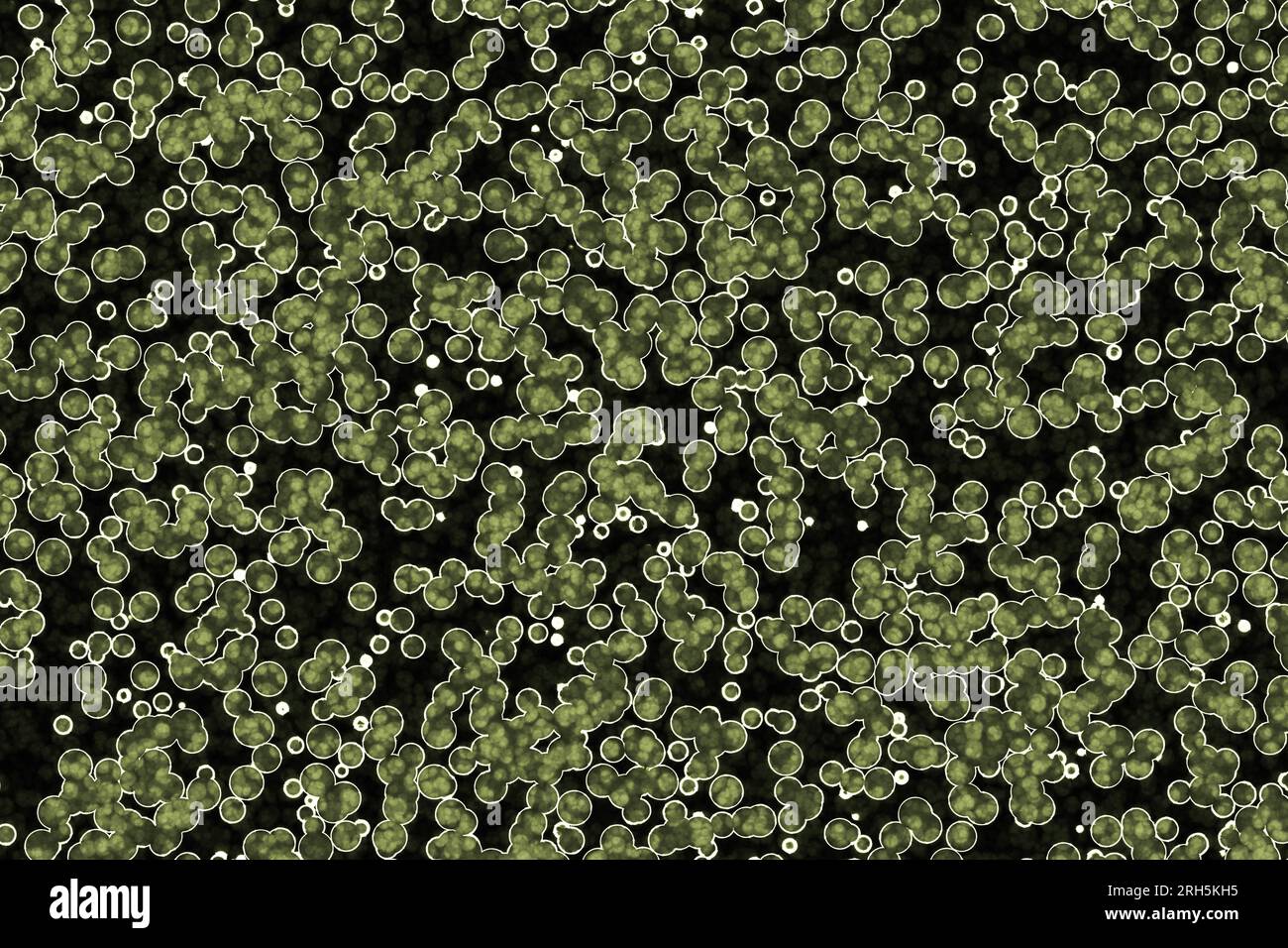 La forma della cellula batterica: cocchi, bacilli, spirilla batteri Foto Stock