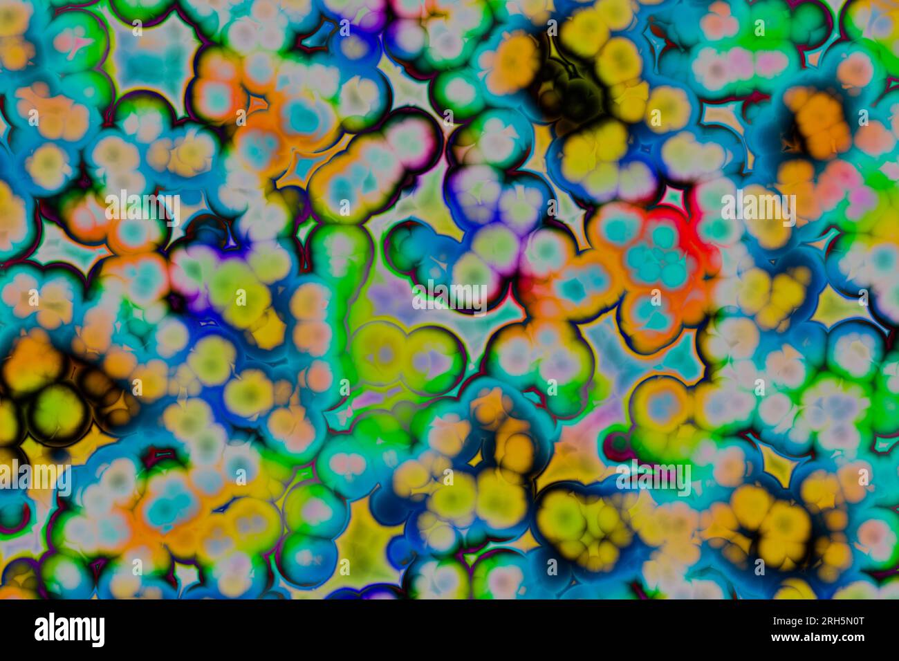 La forma della cellula batterica: cocchi, bacilli, spirilla batteri Foto Stock