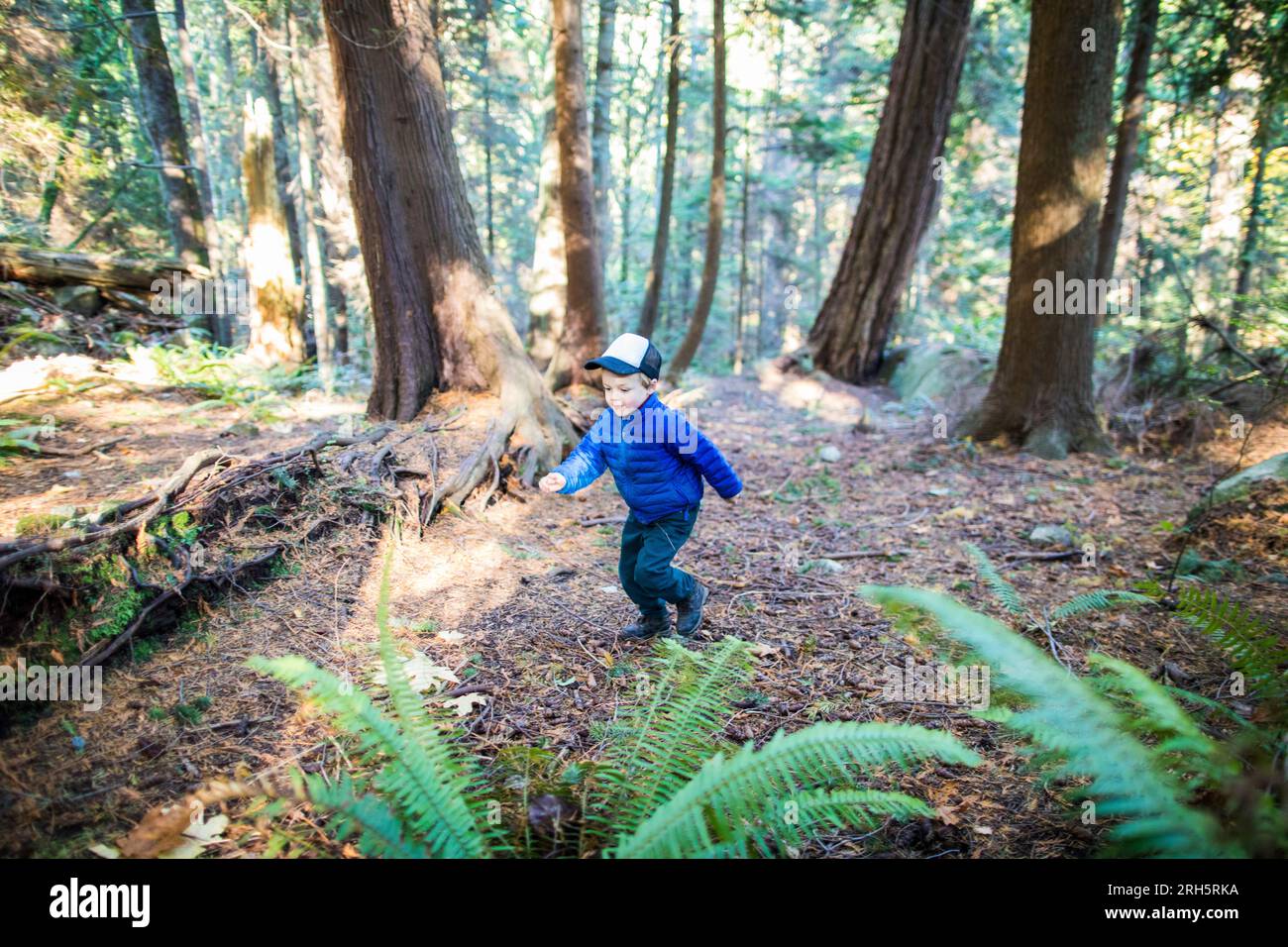 Giovane ragazzo che corre attraverso la foresta, felci. Foto Stock