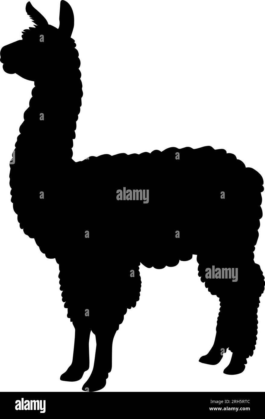 Simbolo dell'icona della silhouette di Alpaca. Illustrazione vettoriale Illustrazione Vettoriale