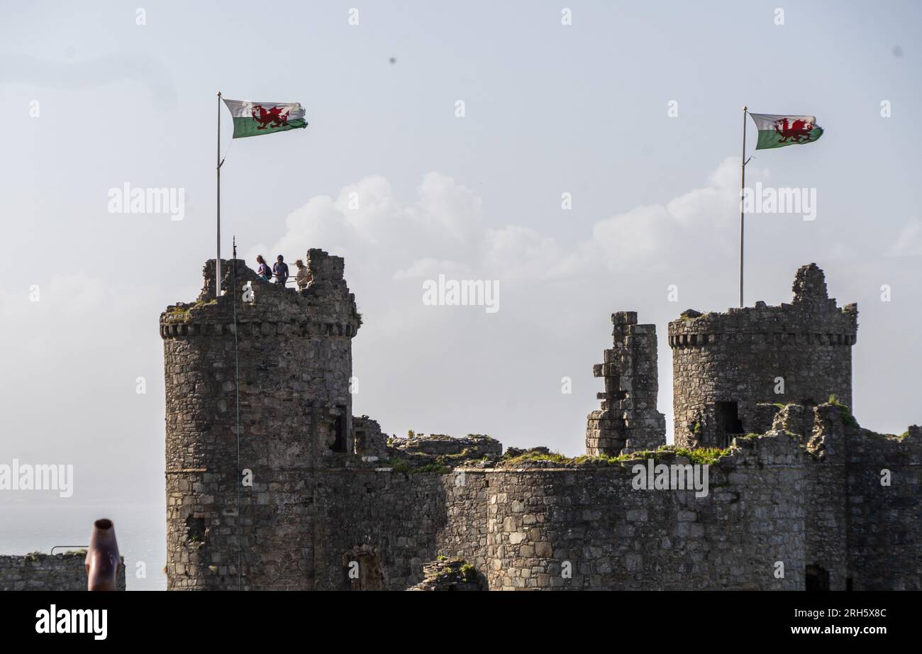 Villaggio e castello di Harlech in Galles, Regno Unito Foto Stock