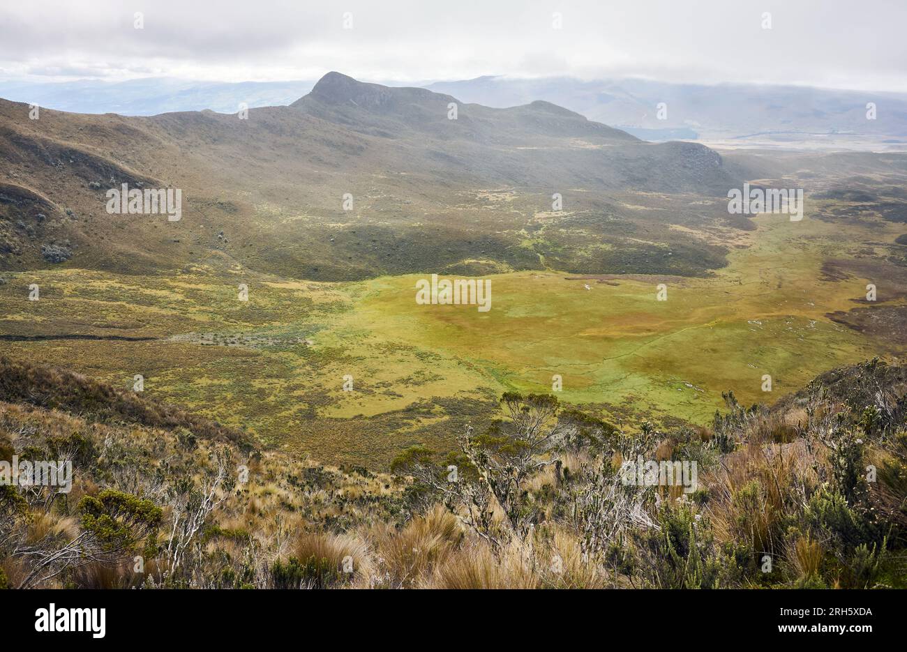 Vista dal sentiero verso Ruminahui, il Parco Nazionale di Cotopaxi, Ecuador. Foto Stock