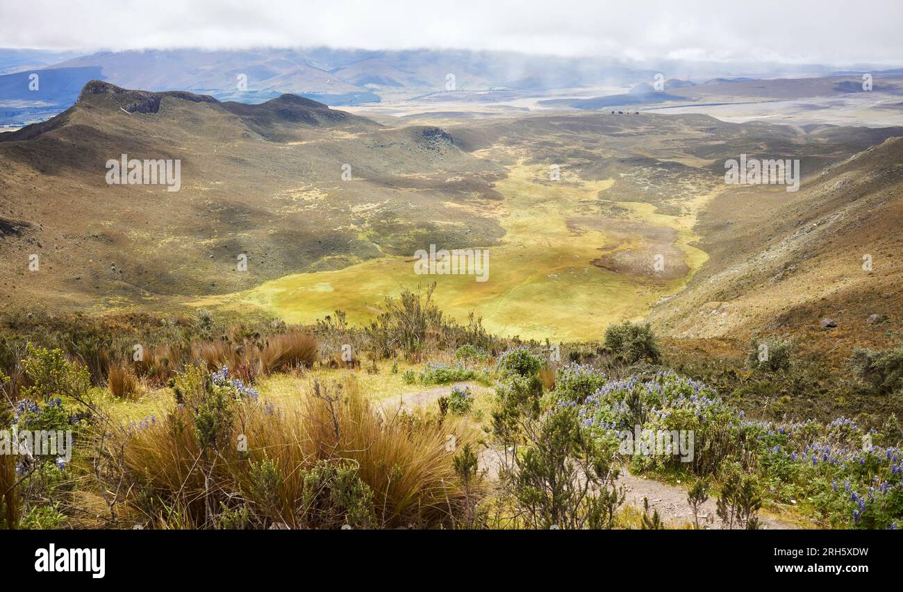 Vista dal sentiero verso Ruminahui, il Parco Nazionale di Cotopaxi, Ecuador. Foto Stock