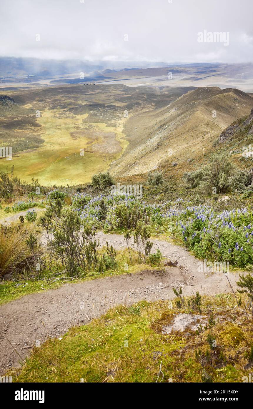 Vista dal sentiero verso Ruminahui, il Parco Nazionale di Cotopaxi, Ecuador. Foto Stock