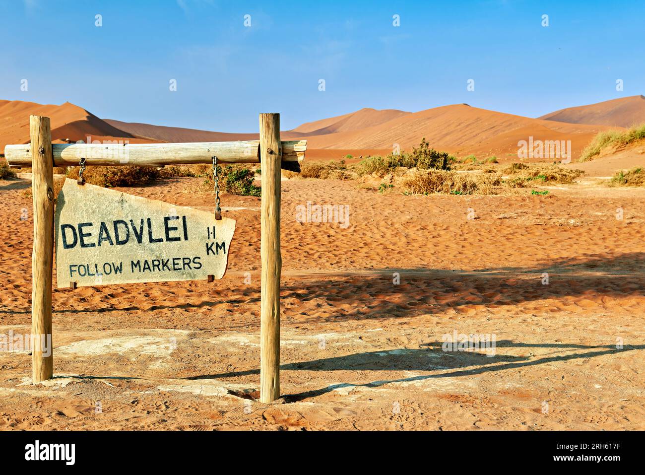 Namibia. Sossusvlei. Namib Naukluft National Park. Il sentiero per Deadvlei Foto Stock