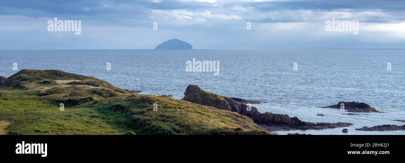 Ailsa Craig Island, Scozia Foto Stock