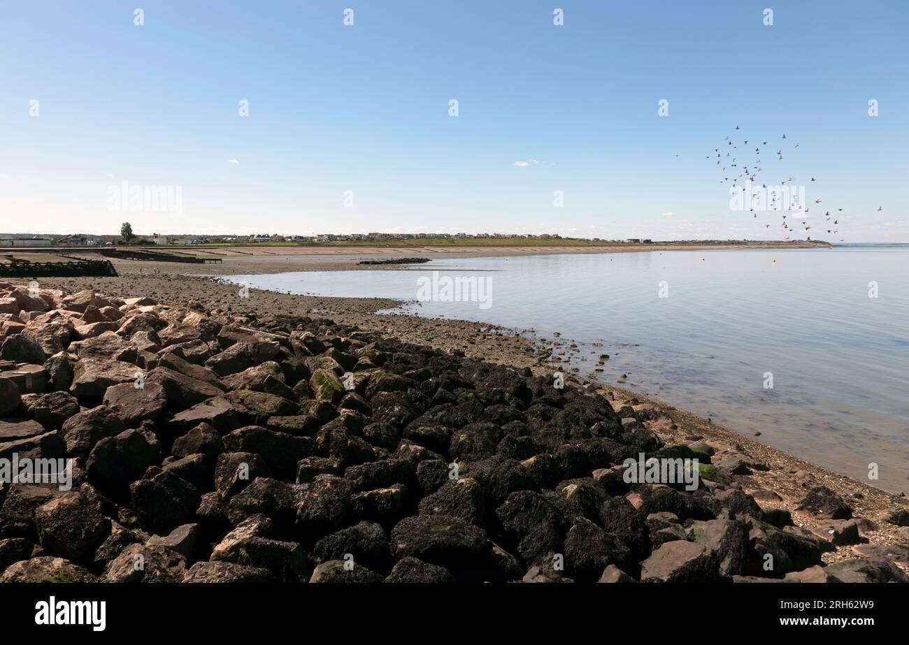 Guardando ad ovest, verso la spiaggia di Studd Hill, dai resti di Hampton Pier, Herne Bay, Kent Foto Stock